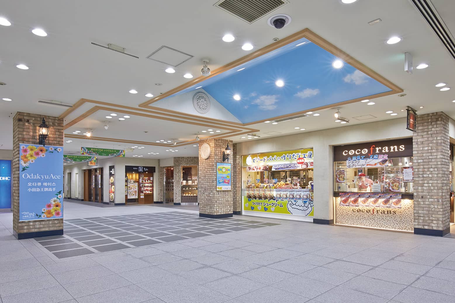 小田急エース